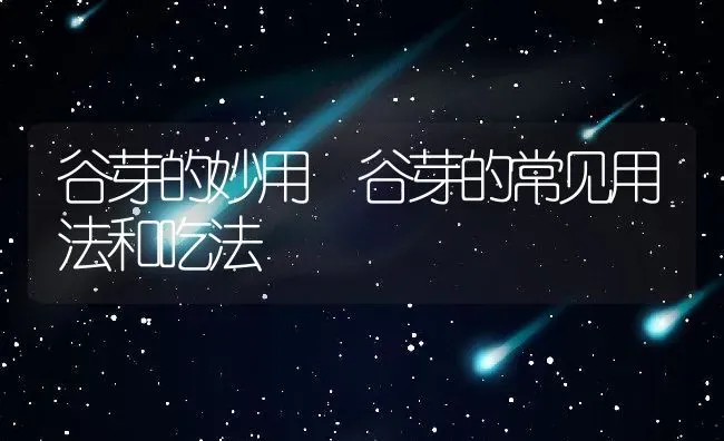 谷芽的妙用 谷芽的常见用法和吃法 | 养殖资料投稿