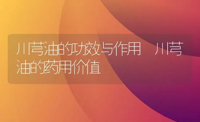 川芎油的功效与作用 川芎油的药用价值 | 养殖资料投稿