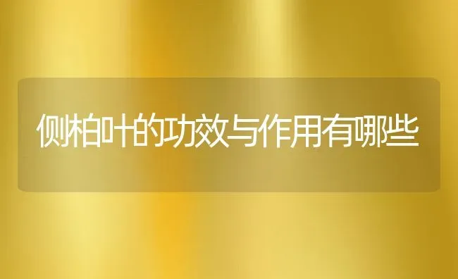 侧柏叶的功效与作用有哪些 | 养殖资料投稿