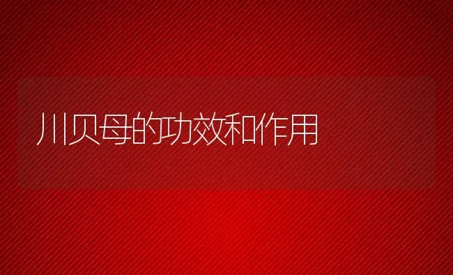 川贝母的功效和作用 | 养殖资料投稿