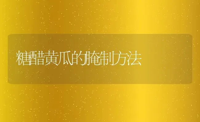 糖醋黄瓜的腌制方法 | 养殖资料投稿