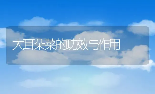 大耳朵菜的功效与作用 | 养殖资料投稿