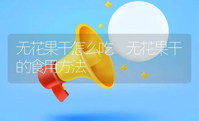 无花果干怎么吃 无花果干的食用方法 | 养殖资料投稿
