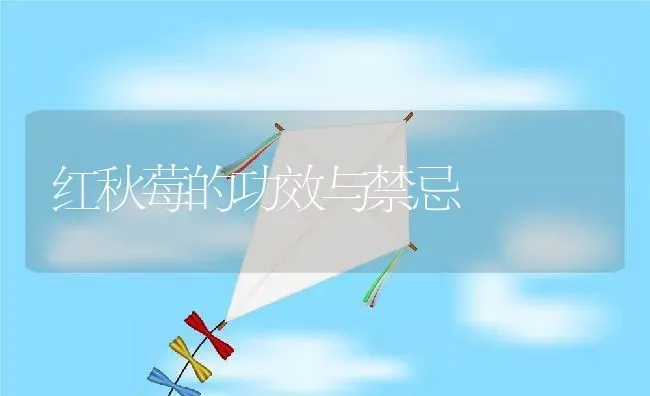 红秋莓的功效与禁忌 | 养殖资料投稿