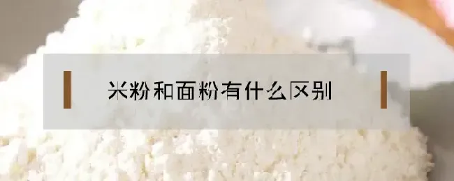 米粉和面粉有什么区别