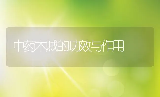 中药木贼的功效与作用 | 养殖资料投稿