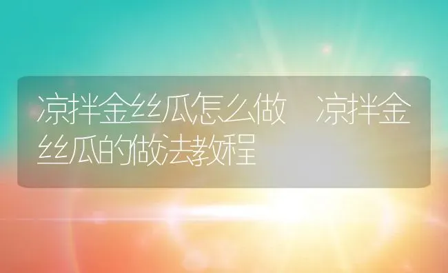 凉拌金丝瓜怎么做 凉拌金丝瓜的做法教程 | 养殖资料投稿