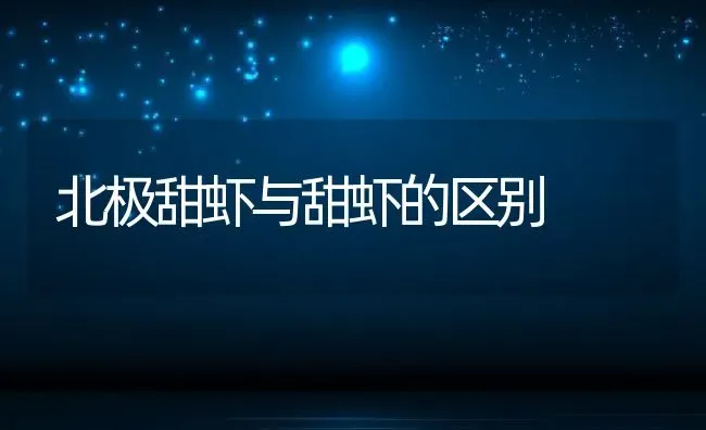 北极甜虾与甜虾的区别 | 养殖资料投稿
