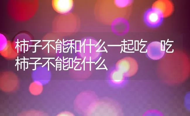 柿子不能和什么一起吃 吃柿子不能吃什么 | 养殖资料投稿
