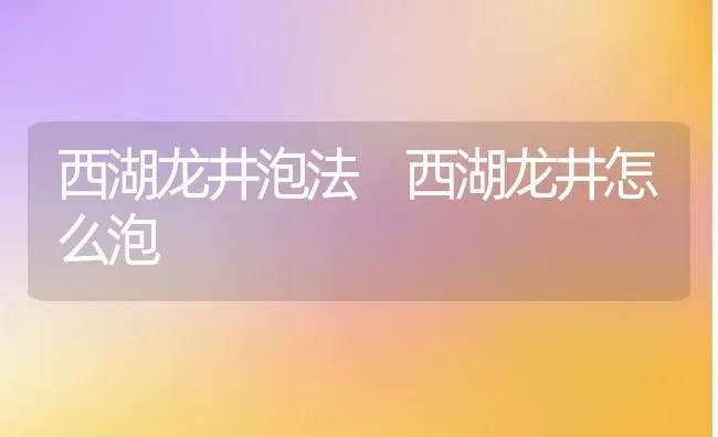 西湖龙井泡法 西湖龙井怎么泡 | 养殖资料投稿