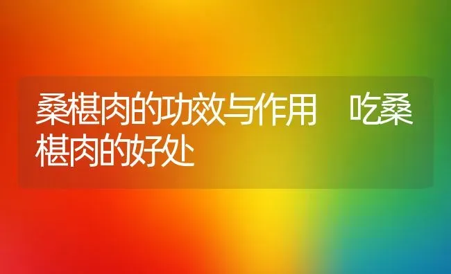 桑椹肉的功效与作用 吃桑椹肉的好处 | 养殖资料投稿
