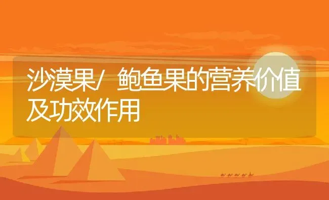 沙漠果/鲍鱼果的营养价值及功效作用 | 养殖资料投稿