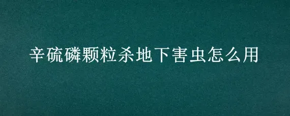 辛硫磷颗粒杀地下害虫怎么用