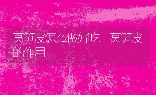 莴笋皮怎么做好吃 莴笋皮的作用 | 养殖资料投稿