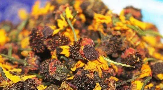 天山雪菊泡水喝有什么好处