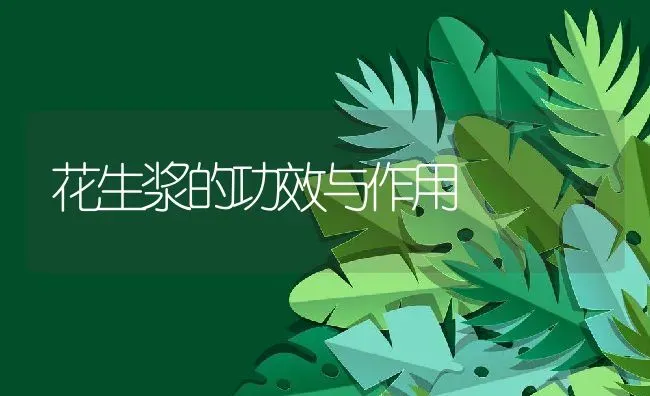 花生浆的功效与作用 | 养殖资料投稿