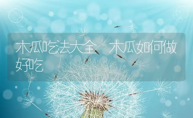 木瓜吃法大全 木瓜如何做好吃 | 养殖资料投稿