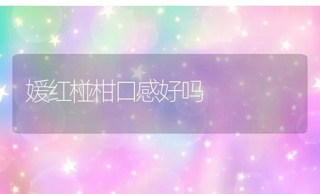 媛红椪柑口感好吗 | 养殖资讯