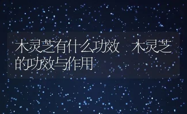 木灵芝有什么功效 木灵芝的功效与作用 | 养殖资料投稿