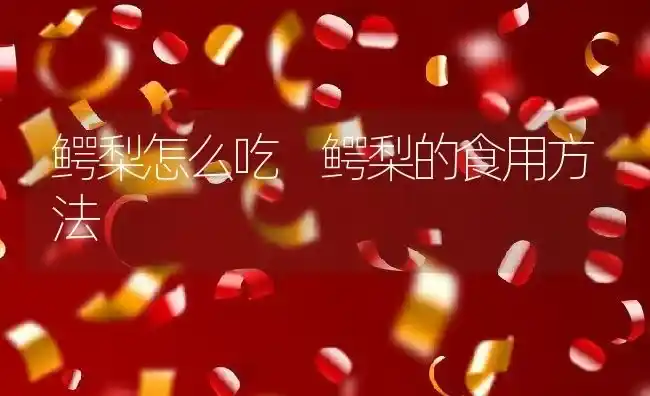 鳄梨怎么吃 鳄梨的食用方法 | 养殖资料投稿