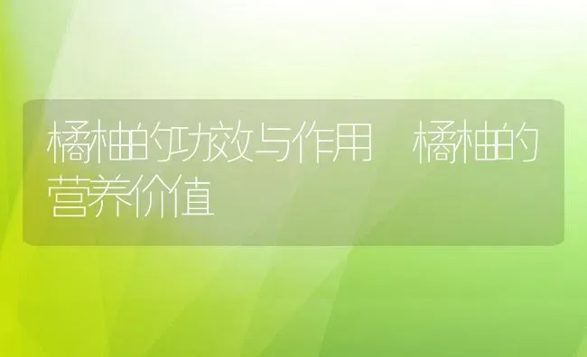橘柚的功效与作用 橘柚的营养价值 | 养殖资料投稿