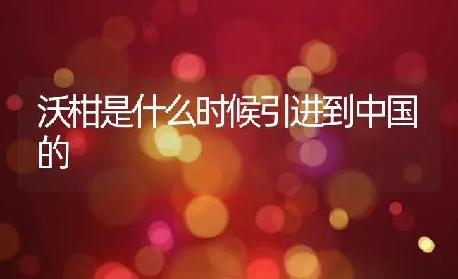 沃柑是什么时候引进到中国的 | 养殖资讯