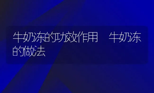 牛奶冻的功效作用 牛奶冻的做法 | 养殖资料投稿