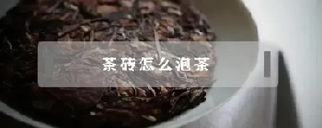 茶砖怎么泡茶