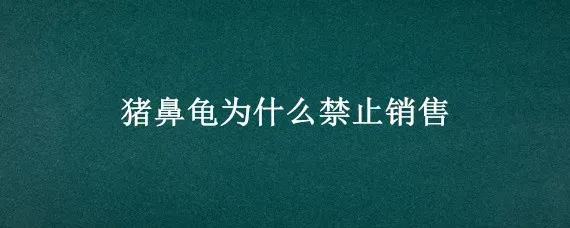 猪鼻龟为什么禁止销售