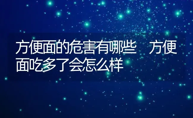 方便面的危害有哪些 方便面吃多了会怎么样 | 养殖资料投稿