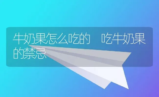 牛奶果怎么吃的 吃牛奶果的禁忌 | 养殖资料投稿