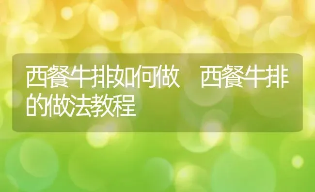 西餐牛排如何做 西餐牛排的做法教程 | 养殖资料投稿