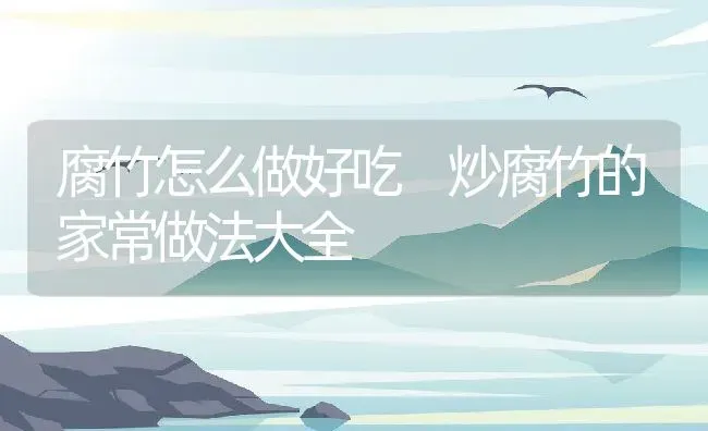 腐竹怎么做好吃 炒腐竹的家常做法大全 | 养殖资料投稿