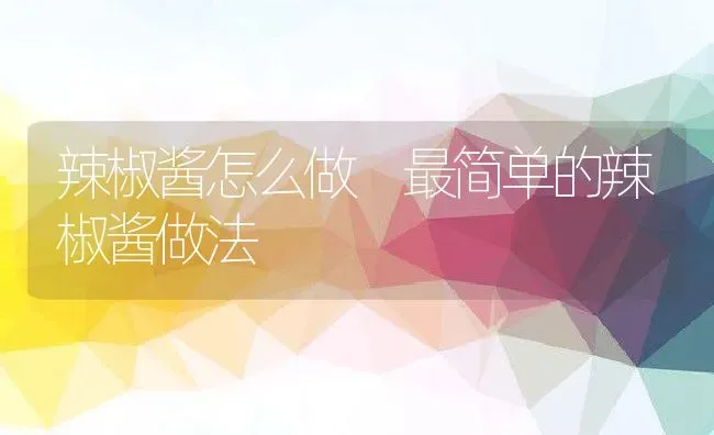 辣椒酱怎么做 最简单的辣椒酱做法 | 养殖资料投稿