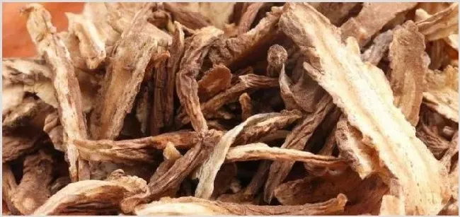 当归种植技术及亩收益赚钱吗 | 养殖什么赚钱