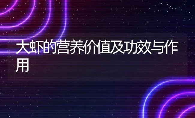 大虾的营养价值及功效与作用 | 养殖资料投稿