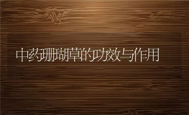 中药珊瑚草的功效与作用 | 养殖资料投稿
