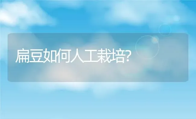 扁豆如何人工栽培？ | 养殖资料投稿