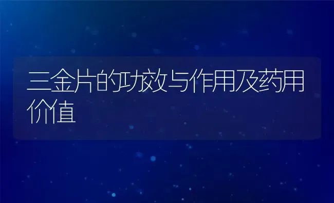 三金片的功效与作用及药用价值 | 养殖资料投稿