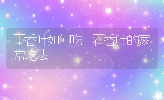 藿香叶如何吃 藿香叶的家常吃法 | 养殖资料投稿