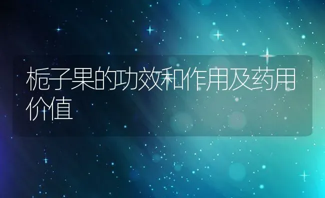 栀子果的功效和作用及药用价值 | 养殖资料投稿