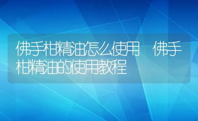 佛手柑精油怎么使用 佛手柑精油的使用教程 | 养殖资料投稿