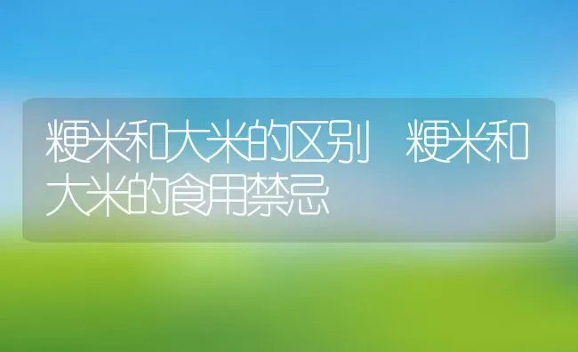 粳米和大米的区别 粳米和大米的食用禁忌 | 养殖资讯