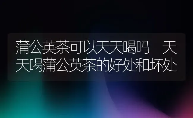 蒲公英茶可以天天喝吗 天天喝蒲公英茶的好处和坏处 | 养殖资料投稿