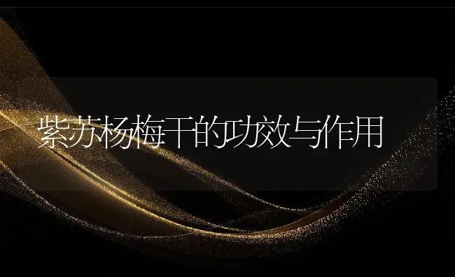 紫苏杨梅干的功效与作用 | 养殖资料投稿