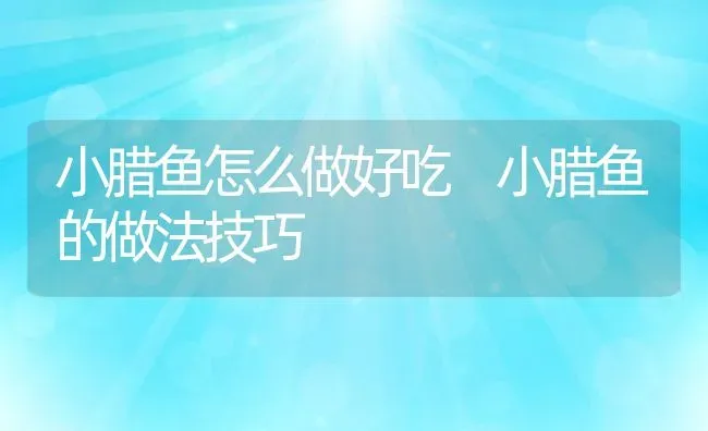 小腊鱼怎么做好吃 小腊鱼的做法技巧 | 养殖资料投稿