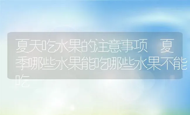 夏天吃水果的注意事项 夏季哪些水果能吃哪些水果不能吃 | 养殖资料投稿