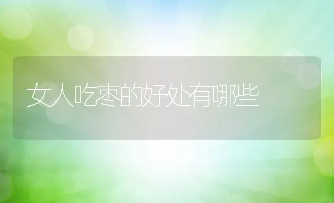女人吃枣的好处有哪些 | 养殖资料投稿
