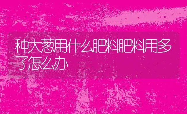 种大葱用什么肥料肥料用多了怎么办 | 养殖资讯