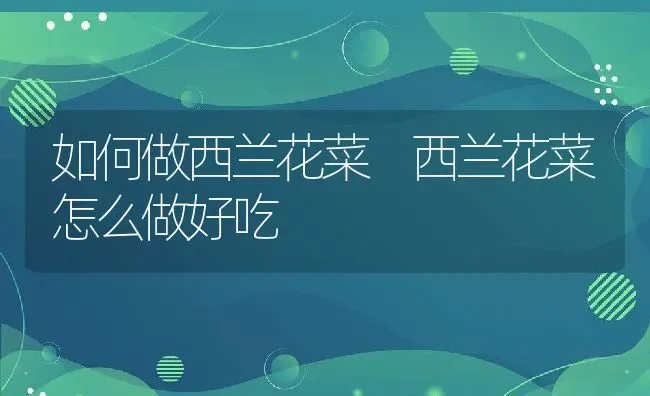 如何做西兰花菜 西兰花菜怎么做好吃 | 养殖资料投稿